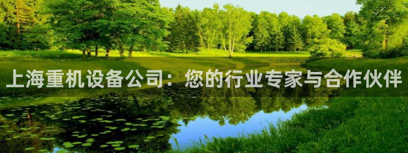盈顺休闲娱乐室怎么样：上海重机设备公司：您的行业专家与合作伙