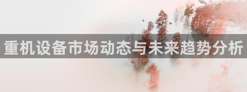 顺盈娱乐登录平台网址：重机设备市场动态与未来趋势分析