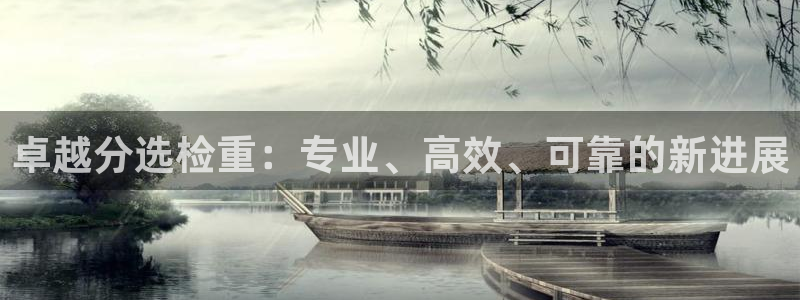 顺盈娱乐注册q779O3唐老鸭：卓越分选检重：专业、高效、可