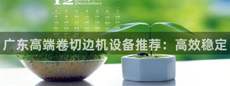 顺盈2娱乐平台：广东高端卷切边机设备推荐：高效稳定