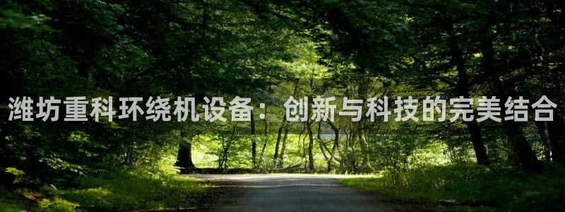 顺盈娱乐登录平台是什么：潍坊重科环绕机设备：创新与科技的完美
