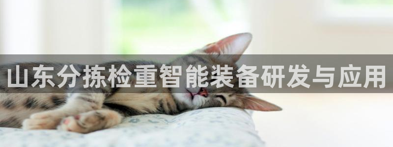 顺盈娱乐下载安装最新版：山东分拣检重智能装备研发与应用
