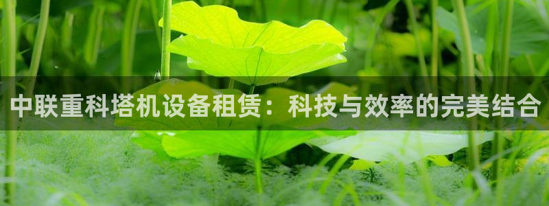 顺盈2娱乐主管是谁：中联重科塔机设备租赁：科技与效率的完美结