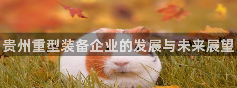 顺盈娱乐游戏开发商：贵州重型装备企业的发展与未来展望