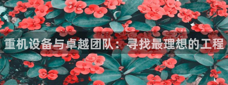 清远顺盈娱乐文案