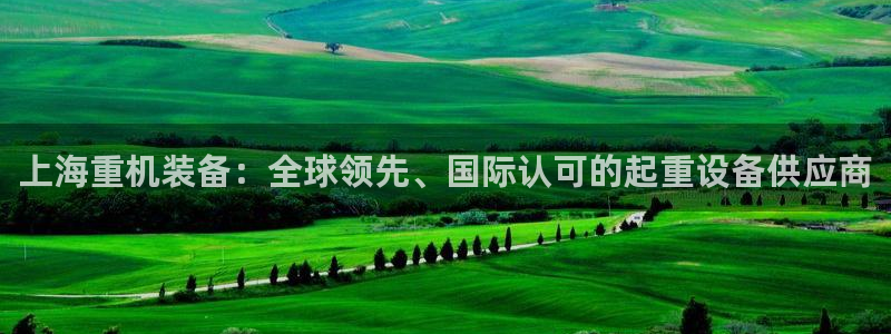 顺盈娱乐注册登录：上海重机装备：全球领先、国际认可的起重设备
