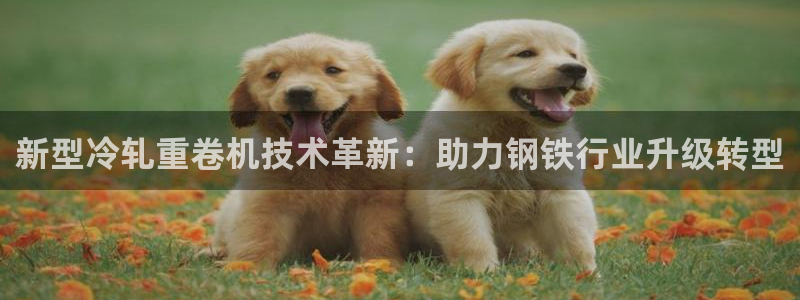 顺盈娱乐彩票官网查询