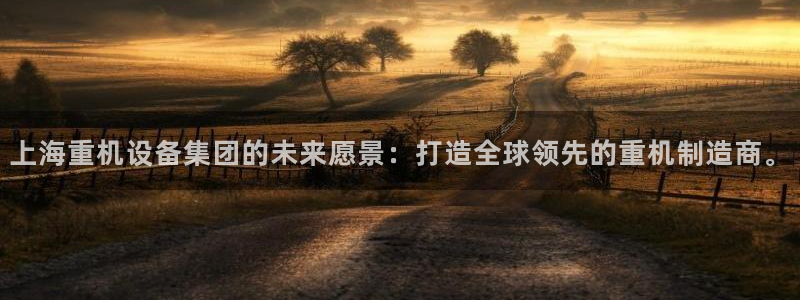 顺盈娱乐：上海重机设备集团的未来愿景：打造全球领先的重机制造