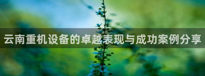 顺盈娱乐下载官网地址