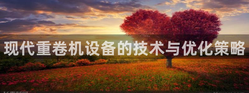 顺盈娱乐平台注册条件：现代重卷机设备的技术与优化策略