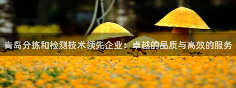 顺盈娱乐招商部听判官333OO