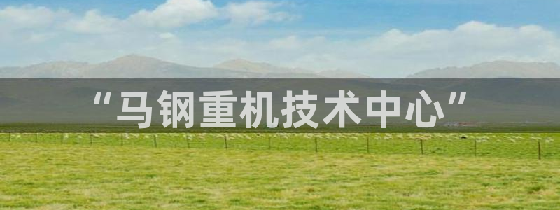 顺盈娱乐平台注册：“马钢重机技术中心”