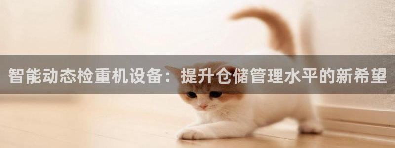顺盈娱乐代理怎么样啊：智能动态检重机设备：提升仓储管理水平的