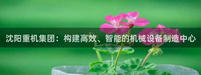 清远顺盈娱乐集团实习：沈阳重机集团：构建高效、智能的机械设备