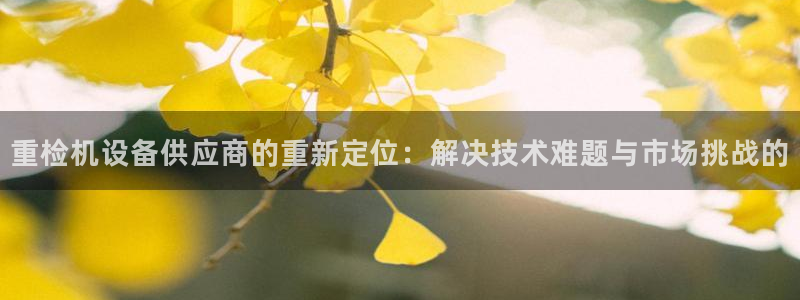 顺盈娱乐28是什么：重检机设备供应商的重新定位：解决技术难题