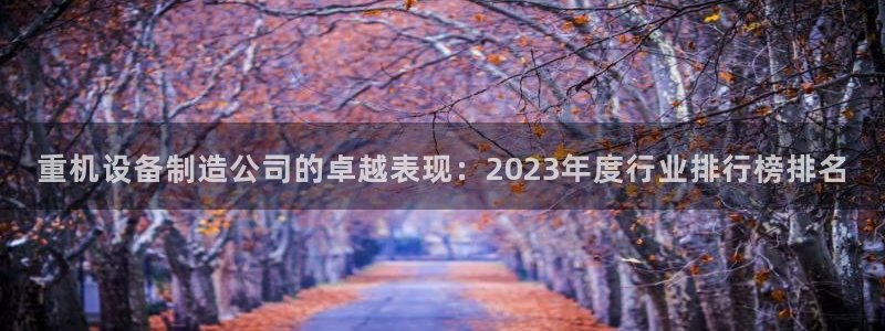 顺盈2娱乐382223：重机设备制造公司的卓越表现：2023