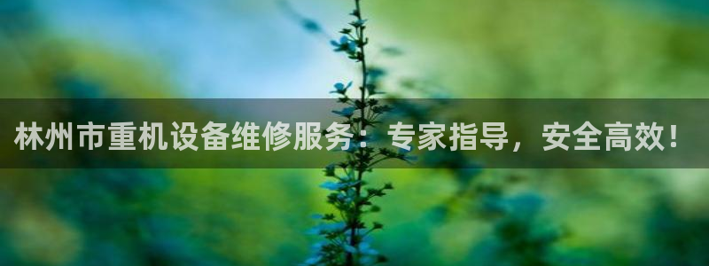 顺盈娱乐平台会黑人吗