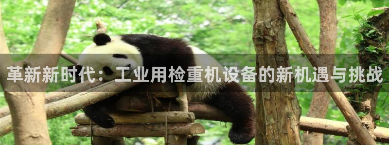 清远清城区顺盈娱乐