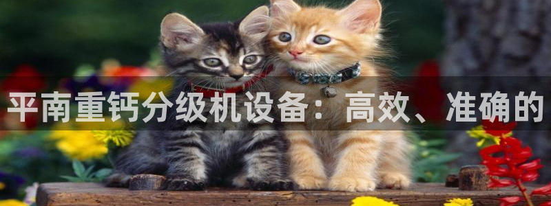 清远顺盈娱乐集团招聘：平南重钙分级机设备：高效、准确的