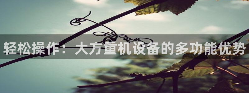 顺盈广场娱乐会所电话：轻松操作：大方重机设备的多功能优势