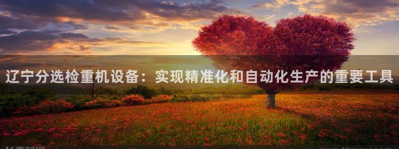 顺盈娱乐猪：辽宁分选检重机设备：实现精准化和自动化生产的重要