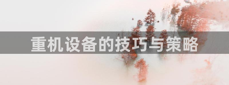 顺盈娱乐平台注册：重机设备的技巧与策略