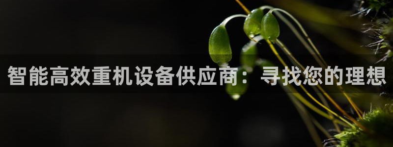 顺盈娱乐彩票官网首页