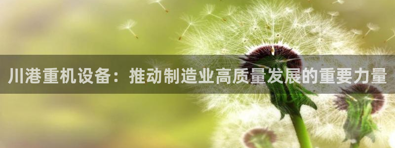 顺盈娱乐主管怎么样