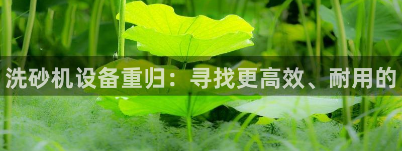 顺盈娱乐场所
