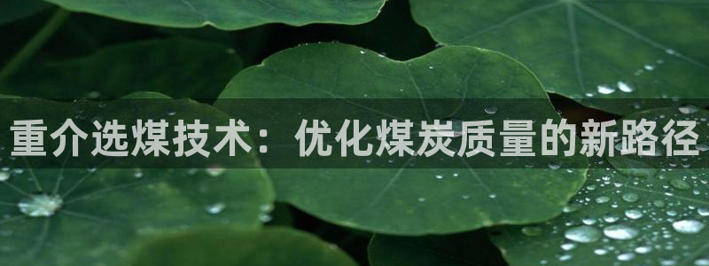 顺盈娱乐主管：重介选煤技术：优化煤炭质量的新路径