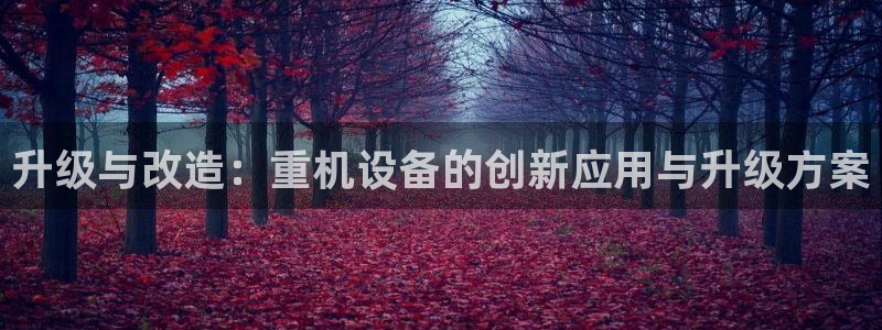 盈顺娱乐休闲室：升级与改造：重机设备的创新应用与升级方案