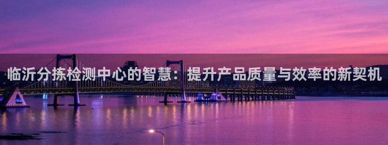 顺盈娱乐代理怎么样做：临沂分拣检测中心的智慧：提升产品质量与