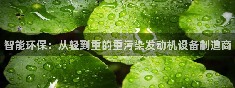 顺盈娱乐广场：智能环保：从轻到重的重污染发动机设备制造商
