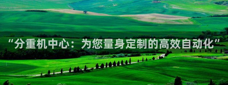 顺盈娱乐注册q779O3唐老鸭：“分重机中心：为您量身定制的