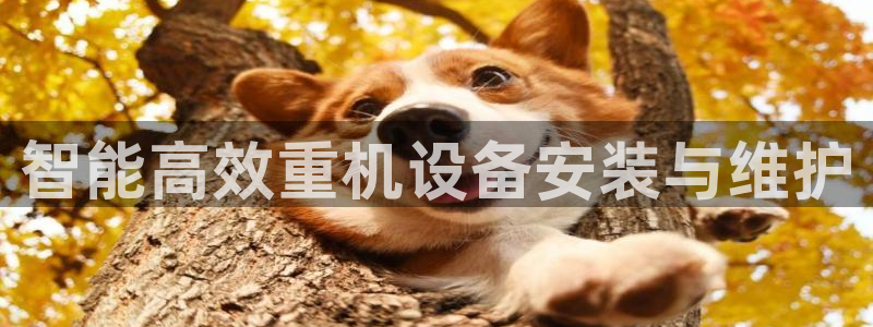 顺盈娱乐滴qv382223