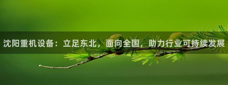 顺盈娱乐彩票官网首页