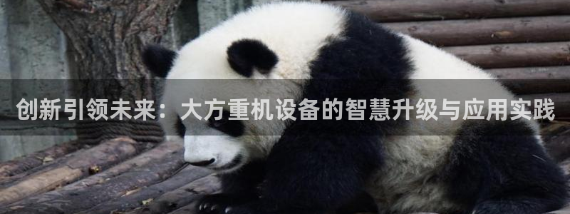 顺盈娱乐计究7276O