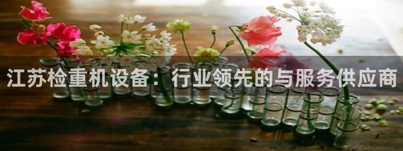 顺盈娱乐主管杂判官333OO