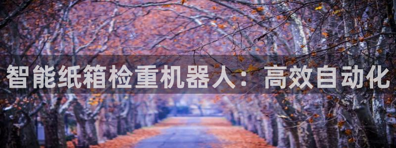 顺盈2娱乐382223：智能纸箱检重机器人：高效自动化