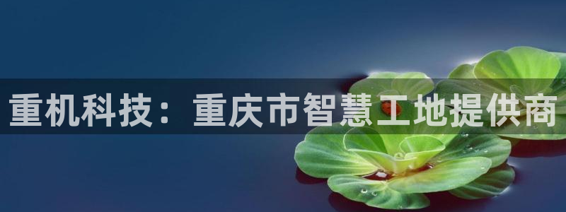 顺盈娱乐主管去判官333OO