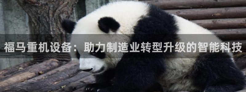 顺盈娱乐登录平台是什么：福马重机设备：助力制造业转型升级的智