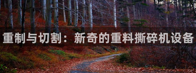 顺盈娱乐招商天原判官333OO：重制与切割：新奇的重料撕碎机