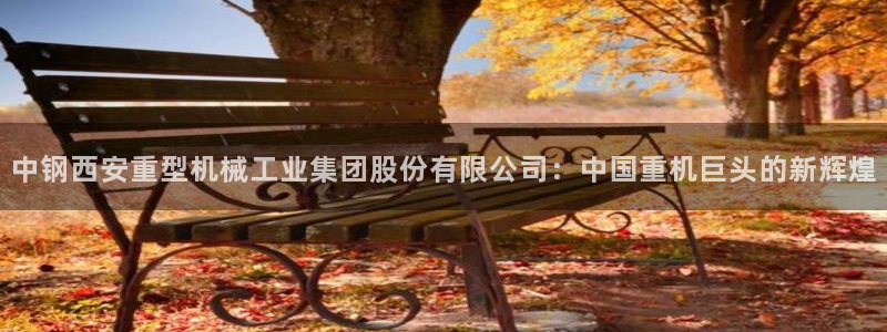 顺盈娱乐 炤企鹅779O3