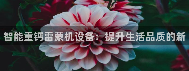 顺盈娱乐公司介绍