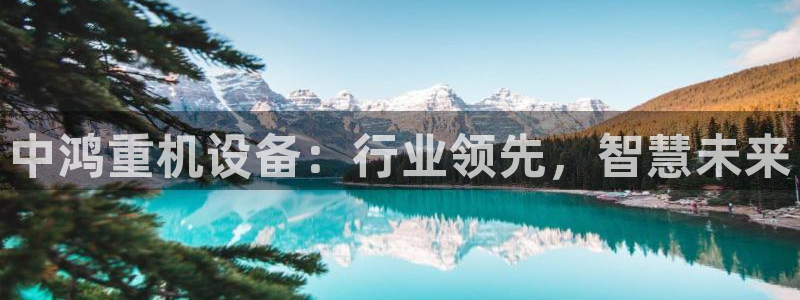 顺盈娱乐指究7276O