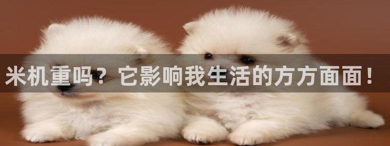 清远顺盈娱乐集团电话