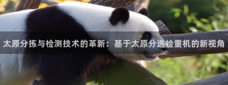 清远顺盈娱乐公司