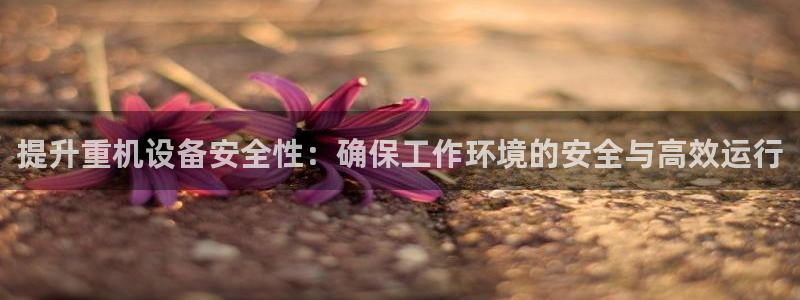 清远顺盈娱乐文案