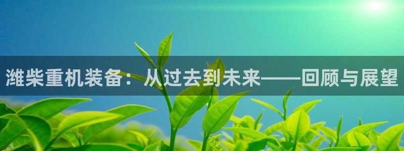 顺盈娱乐登录地址查询