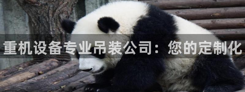 顺盈娱乐注册楚判官333OO